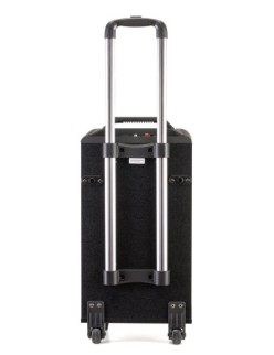 AUDIODESIGN PRO M3 10w/l Partybox Portatile 10 a batteria con 2 microfoni wireless - Potenza Max 250W