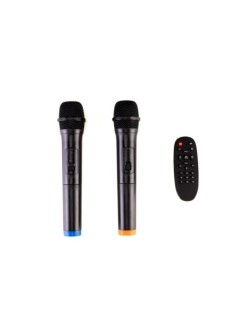 AUDIODESIGN PRO M3 10w/l Partybox Portatile 10 a batteria con 2 microfoni wireless - Potenza Max 250W