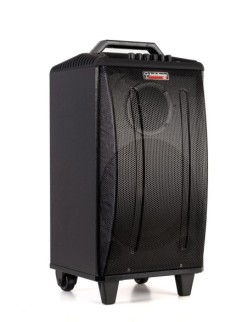 AUDIODESIGN PRO M3 10w/l Partybox Portatile 10 a batteria con 2 microfoni wireless - Potenza Max 250W