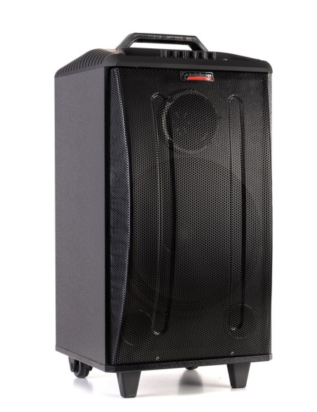 AUDIODESIGN PRO M3 12W/L Partybox Portatile a batteria con 2 microfoni wireless - Potenza Max 350W