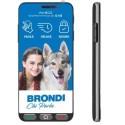 BRONDI Amico Smartphone S+B Display 5.7 Dual SIM Tasto SOS | Nero BRONDI Amico Smartphone S+B Display 5.7 Dual SIM Tasto SOS | Nero