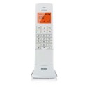 BRONDI LEMURE Telefono Cordless Grande Display Retroilluminato MenÃ¹ Intuitivo | Bianco